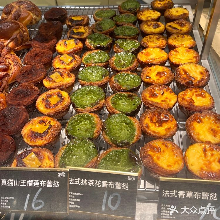 蛋挞脑袋集合！!!