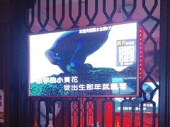 -骑士KTV(红谷滩万达店)