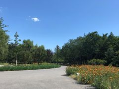 -永定河休闲森林公园