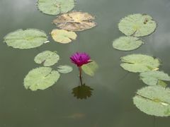 -国家植物园南园