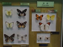 -上海昆虫博物馆