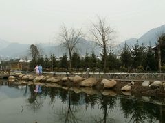 -灵山莲花公园-温泉度假区