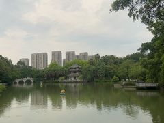 -柳侯公园