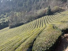 -敬亭山风景名胜区