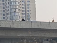 -烤满分·东北烧烤(首经贸店)