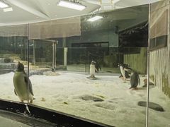 -悉尼海洋生物水族馆