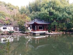 -汇龙潭