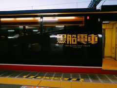 -伊豆观海列车
