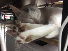 -iF摄影•全家福•证件照•形象照(南山店)