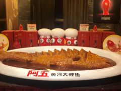红烧黄河鲤鱼-阿五黄河大鲤鱼(英协路店)
