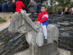 -上海佘山国家森林公园西佘山园