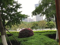 -后襄河公园
