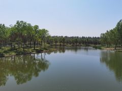 -东郊湿地公园
