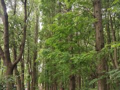 -同里国家湿地公园