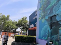 -海合安武汉极地海洋公园