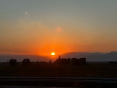 -国强手抓(西夏区店)