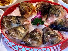 -顺德南宏海立方海洋公园