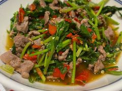 香菜炒牛肉-壹盏灯(惠农店)
