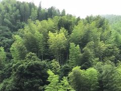 -将军关探险漂流