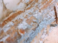 炸刀鱼-尹记餐馆(花园店)