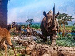 -国家自然博物馆