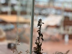-爱樂咖啡(青年体育公园店)