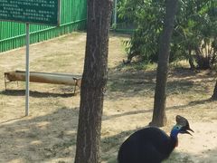 -西霞口神雕山野生动物世界