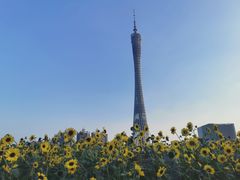 -海心沙亚运公园