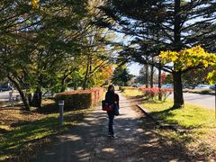-轻井泽王子购物广场