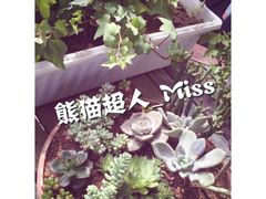 -84那年咖啡馆(李沧万达店)