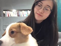 -百好乐宠物友好餐厅(朝外大街店)