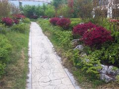 环秀晓筑养生度假村-苏州环秀晓筑养生度假村