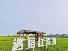 -红海滩国家风景廊道