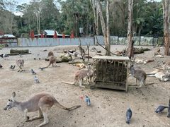 -可伦宾野生动物保护区