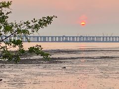 -宝安西湾红树林湿地公园