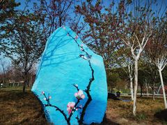 -绵阳盛世樱花悠乐谷