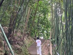 -缙云山景区
