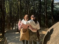 -火炉山森林公园
