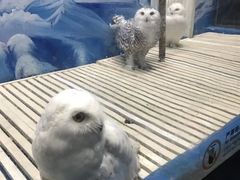 -成都浩海立方海洋公园