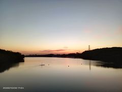 -沈阳鸟岛