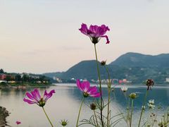 -雷波马湖风景区