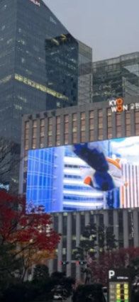 -乐天免税店(明洞店)