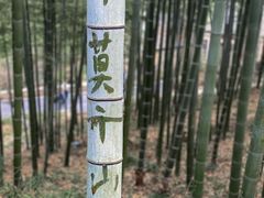 -莫干山风景区