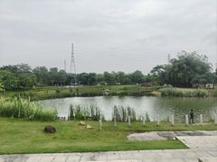 -王借岗森林公园