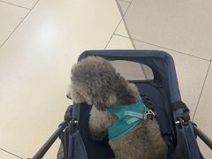 -北京华联购物中心(同成街店)