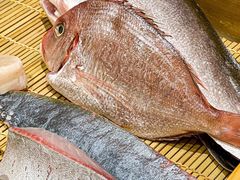 -镹·鱼料理  国产鱼使用店