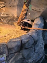 -Zoolung Zoolung动物主题公园(海信广场店)