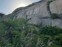 -洋山深水港