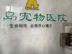 -半岛宠物医院24小时(科华中路店)