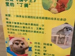 -平行世界·猫咖(首经贸店)